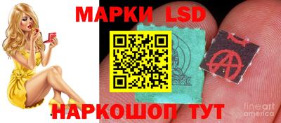 кокс Бийск
