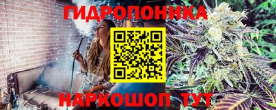 a pvp Берёзовский